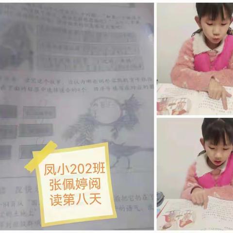 【班班共读】第八天