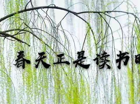 【凤小·花样读书季】给狮子国王的一封建议信——凤矿小学202班读书活动侧记 🌸