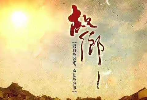 忘不了故乡  年年梨花放