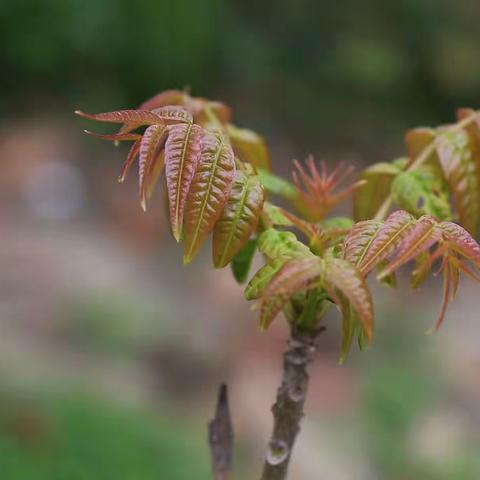 哪个瞬间让你，感受到春天真的来了？