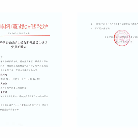 深圳市水利工程行业协会党支部召开2021年度组织生活会和民主评议党员工作会议