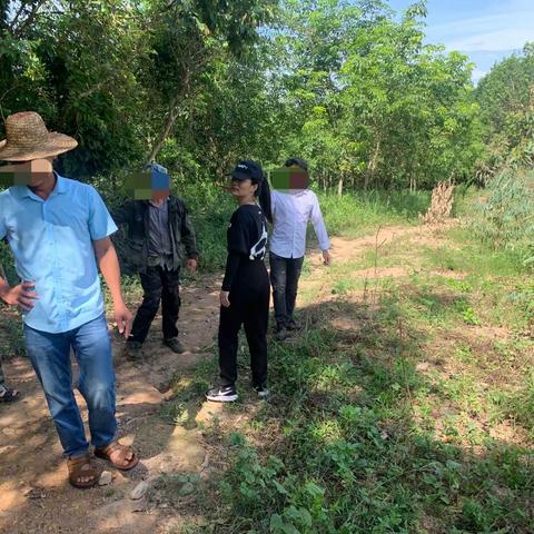 白沙黎族自治县司法局邦溪司法所深入争议地开展土地纠纷调查工作