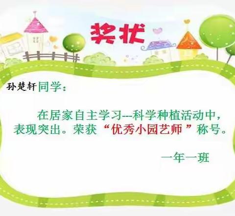 一年一班孙楚轩同学“停课不停学”