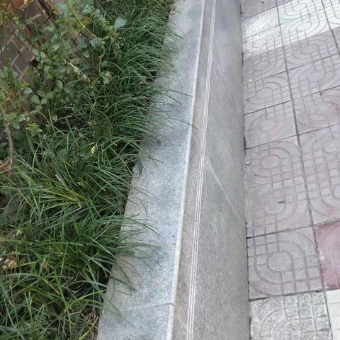 精心组织，扎实推进，彻底整治长胜街卫生。