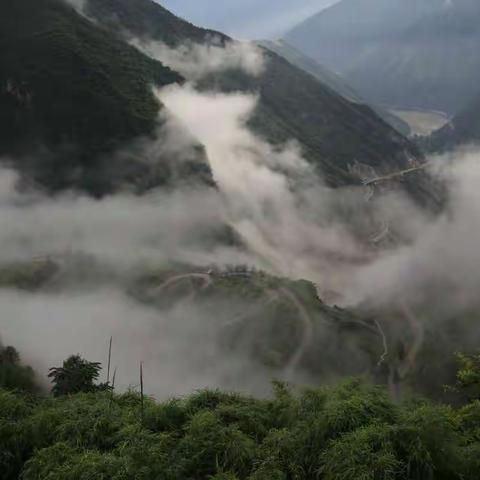 难忘的云南行      一