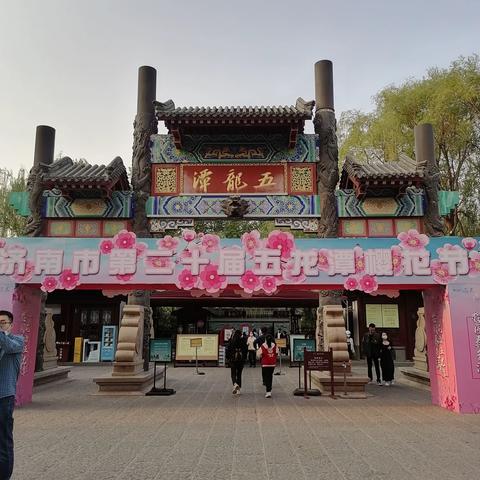 开窗樱花探我房，举步又闻龙吟唱