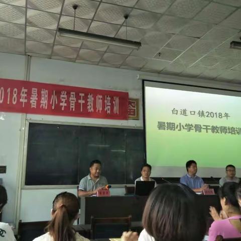 白道口镇2018暑期小学教师培训