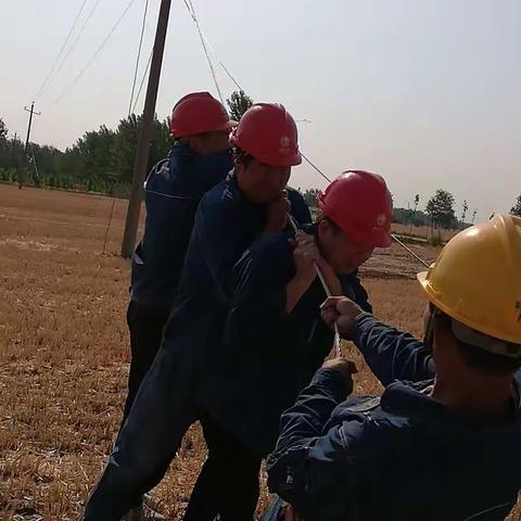 国网平舆县供电公司：鏖战高温保供电 抢修职责扛在肩