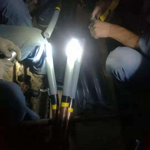 国网平舆县供电公司：日以继夜奋战抢修，全力以赴守护光明