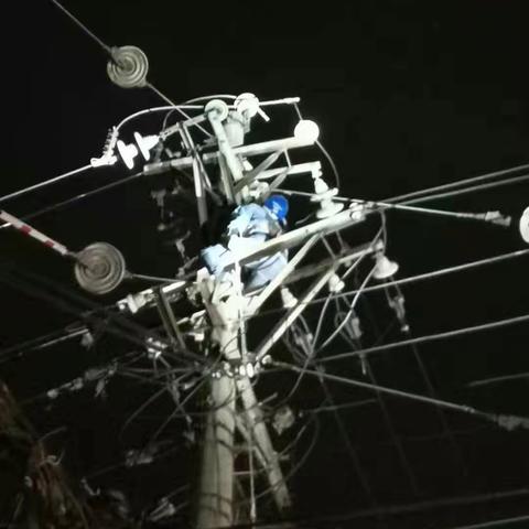 国网平舆县供电公司：大风降雨突来袭，连夜抢修保供电
