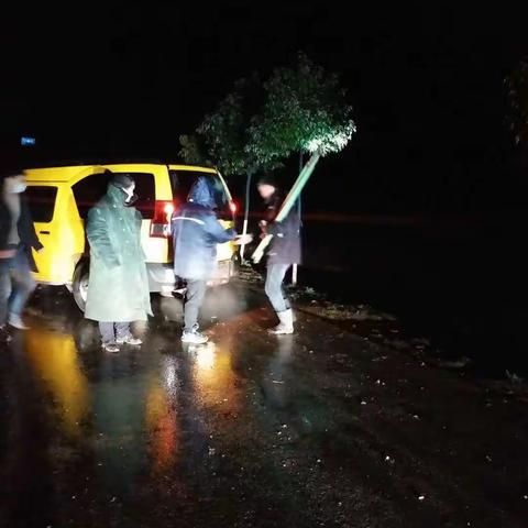 国网平舆县供电公司：顶风冒雪忙抢修 防疫保电守光明