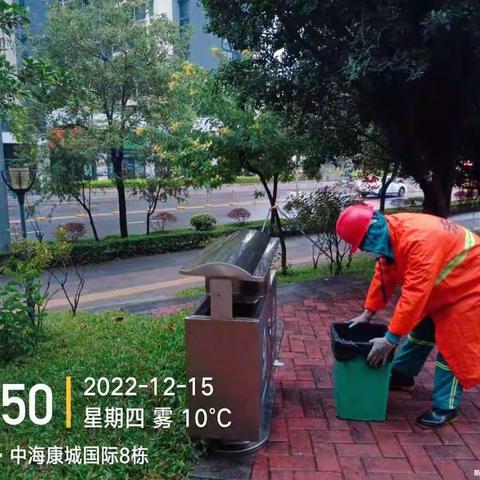 2022-12-15 龙城街道日常绿化管养简报