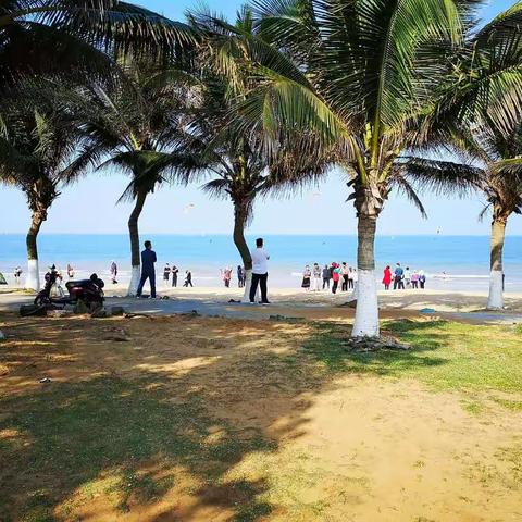 游假日海滩，世纪大桥，万绿园