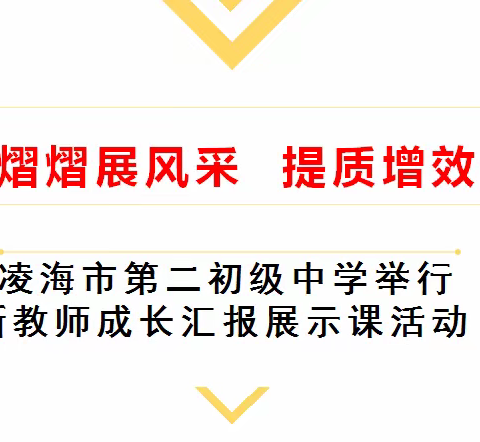 “新”光熠熠展风采          提质增效促成长——凌海市第二初级中学举行新教师成长汇报展示课活动