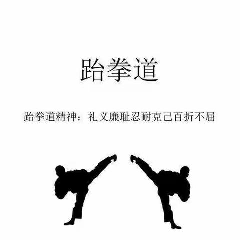 家长进讲堂之跆拳道