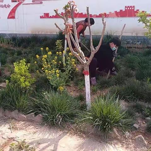 【西邵乡】“十九个动作”全面提升人居环境