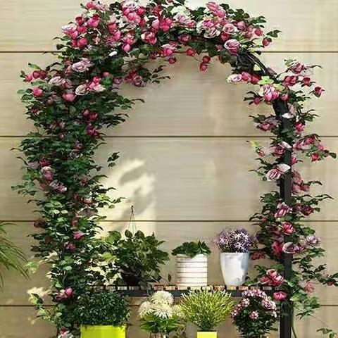 重视自身健康 做好自我防护