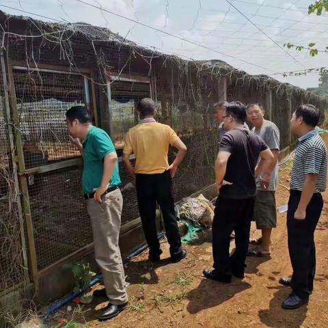 “不忘初心、牢记使命”主题教育——海口市林业行政执法支队党支部深入基层开展陆生野生动物养殖户调研活动