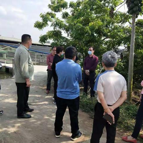 海南省林业局党组成员周绪梅主任一行对我市野生动物养殖场进行调研