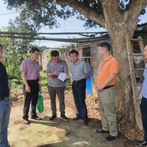 海口市林业局冯勇局长深入永兴镇非洲猪瘟疫区进行调研