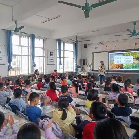 以研促教，“语”你同行——横州市横州镇东郭村委小学与江南小学联片教研活动(二)