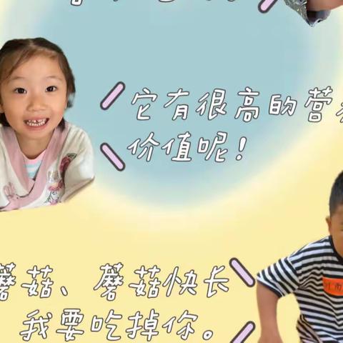 【西安市雁塔区第十五幼儿园】中四班的 “菇”事