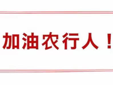 “静默”不沉默，战“疫”显担当——惠安堡分理处抗疫日记