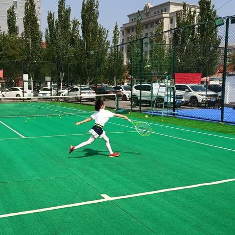 🎾宣化威利网球俱乐部假期招生