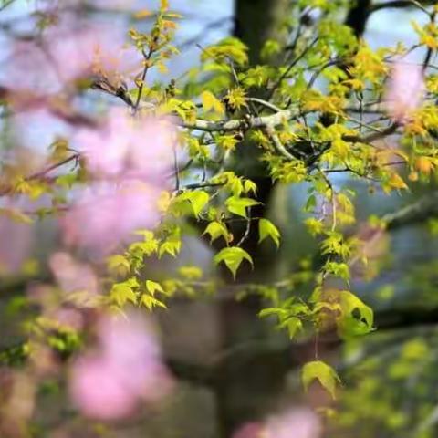 春色无边十八扭