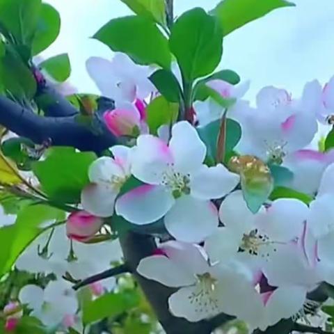 风雨
