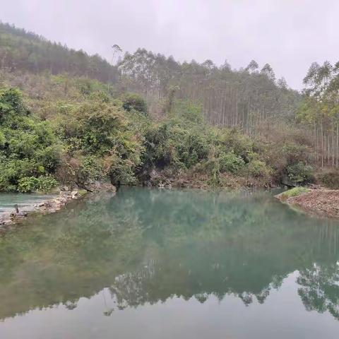 古车村发展水产养殖条件分析报告