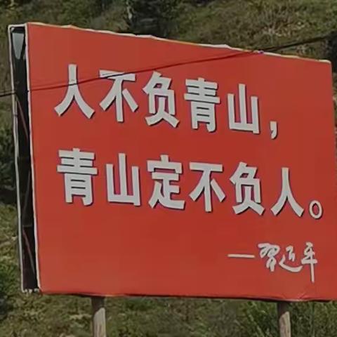 三抓三促，我们在行动——铁炉幼儿园“用脚步丈量家乡”户外徒步活动