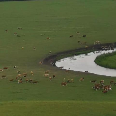 七月的相遇（2020.7）