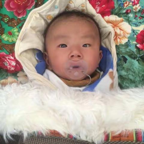 བུ་ཆུང་ཚེ་དཔག་དོན་འགྲུབ།