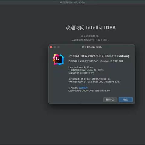 JetBrains IntelliJ IDEA 2021 Mac/win(Java平台IDE)