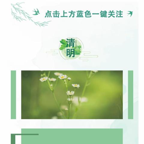 【岳庄小学】清明时节 理性寄思 文明祭扫