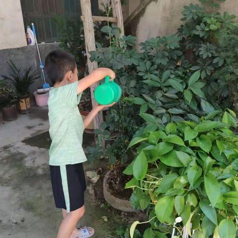 劳动是一件快乐而光荣的事。