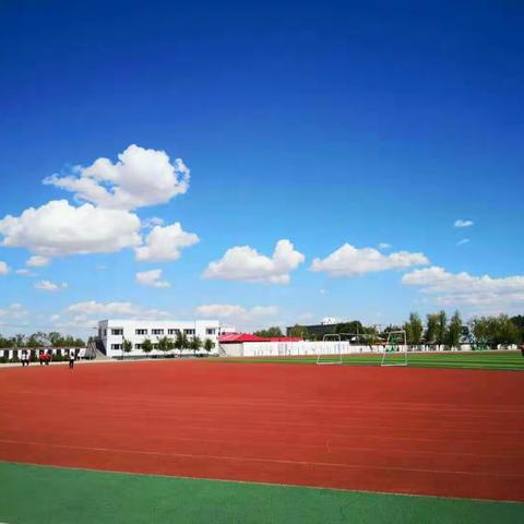 甘南县第六中学2019年中考喜报