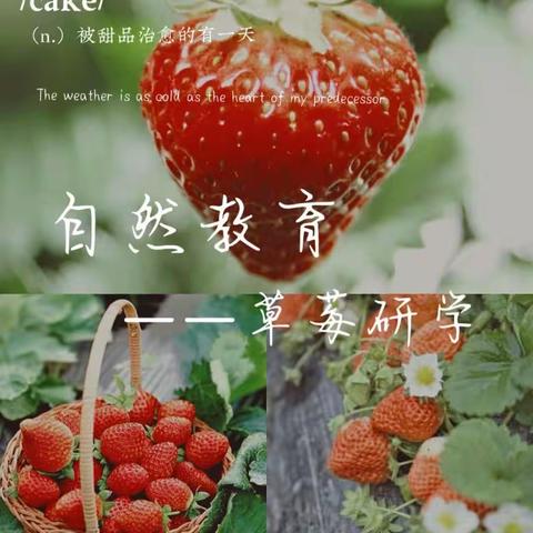 自然研学课堂 ——向“莓”🍓好出发🚎🚎🚎