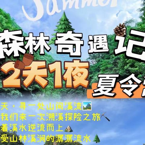 【艺佳舞蹈学校👯‍♀️】 2023⛰️山野少年——森林🌲奇遇记 两天一夜夏令营