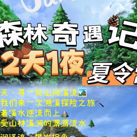 【七彩童话美术馆🎨2023⛰️山野少年——森林🌲奇遇记】两天一夜夏令营