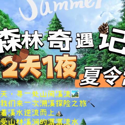 【彩彩舞蹈学校2023⛰️山野少年——森林🌲奇遇记】两天一夜夏令营