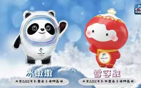 相约冬奥，践行筑梦——小七班“冬奥我来了”主题活动之“制作篇”