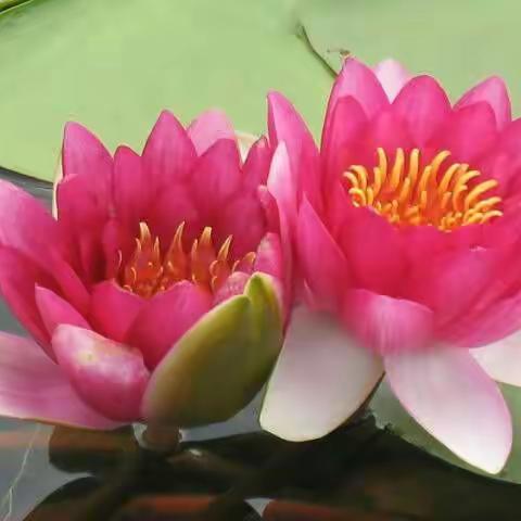 快乐快乐快乐（副本）