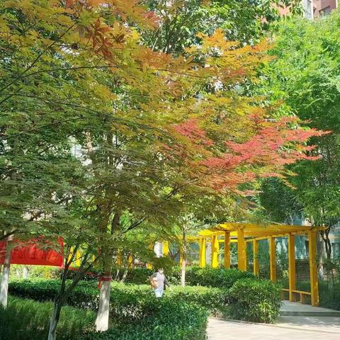 开成物业__秩序部