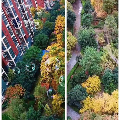 开成物业-香克林小镇_工程篇