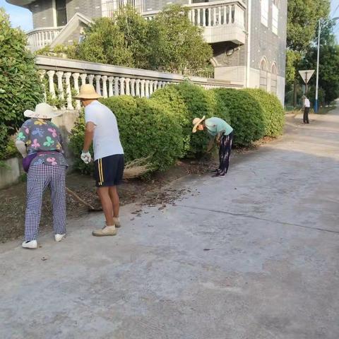 木兰乡“周末卫生大扫除”在行动