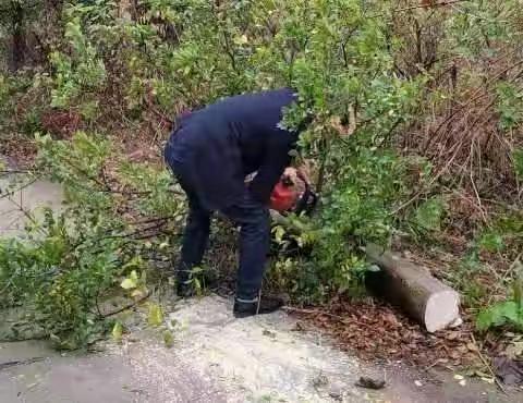 开展环境卫生大整治，助力乡村振兴