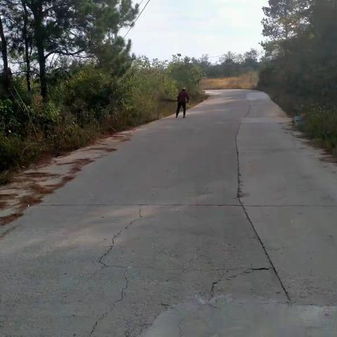 木兰乡国庆期间村湾环境大整治