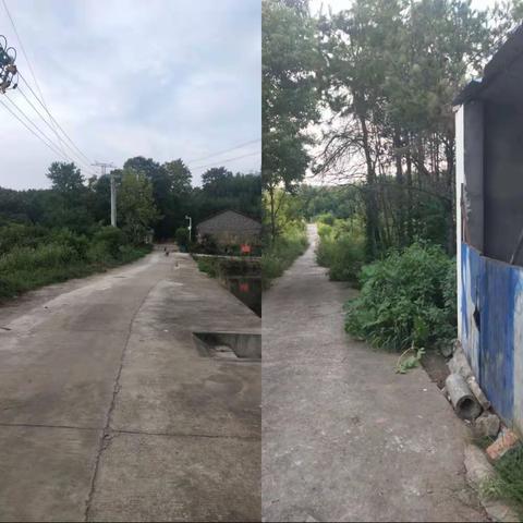 木兰乡中秋佳节农村环境卫生整治